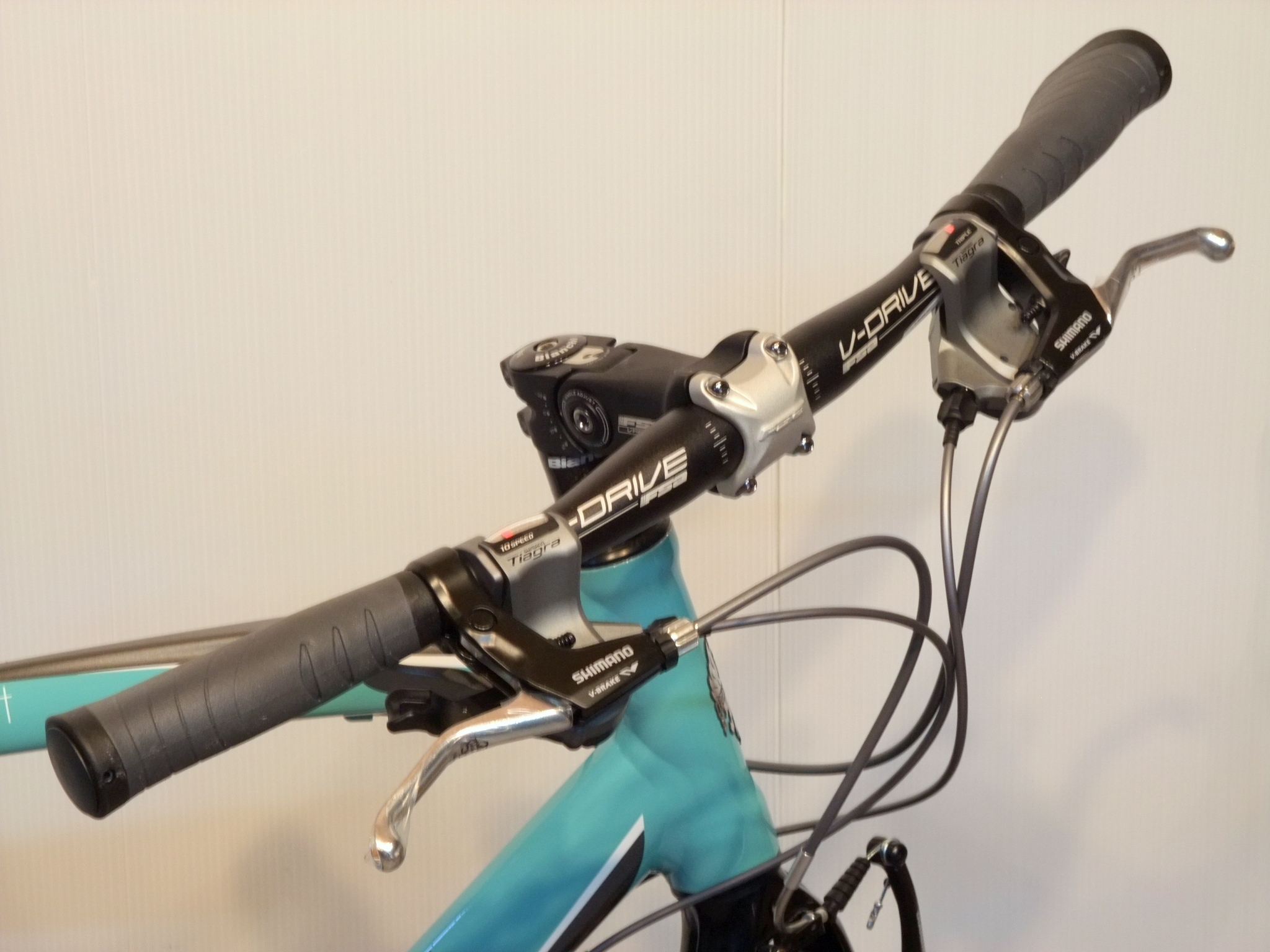Bianchi camaleonte 4